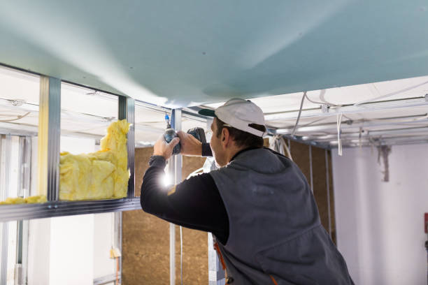 Best Geographic-Specific Insulation Services in Sheridan, IL