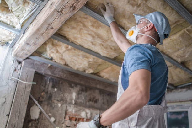 Types of Insulation We Offer in Sheridan, IL