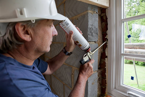 Best Insulation Maintenance and Repair in Sheridan, IL