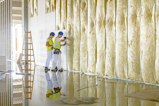 Best Cellulose Insulation in Sheridan, IL